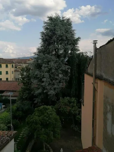 La Casetta nei Borghi – Фото 5